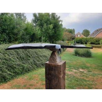 Prachtige vogel van Stanford Derere