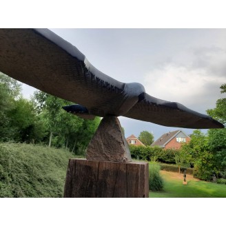 Prachtige vogel van Stanford Derere