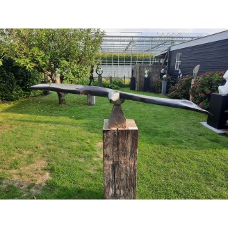 Prachtige vogel van Stanford Derere