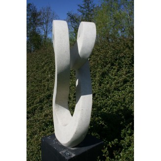 prachtig wit tuinbeeld