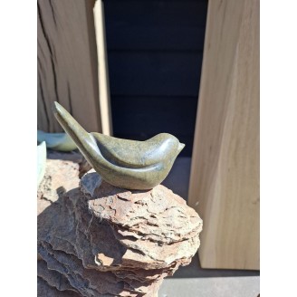 Birds on rocks