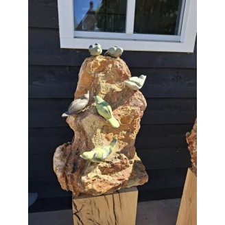 Birds on rocks