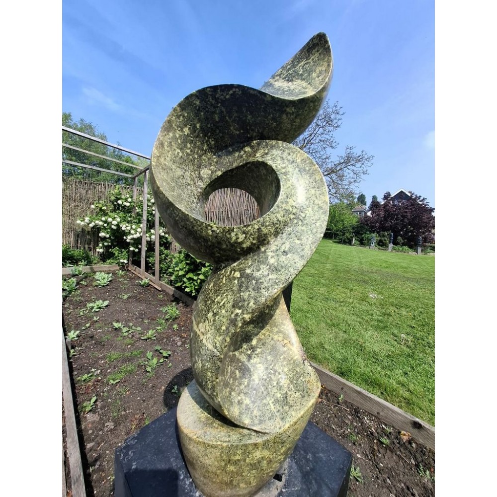 Blooming van Leopard Stone