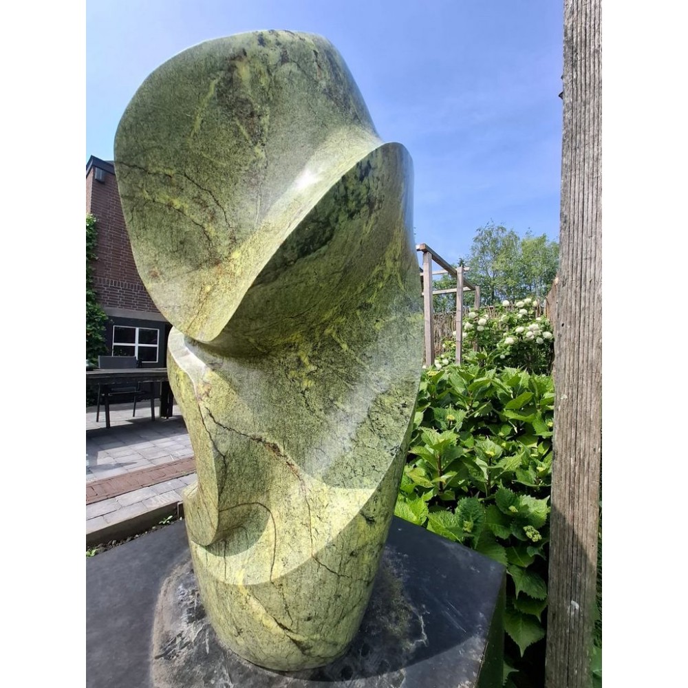 Blooming van Leopard Stone