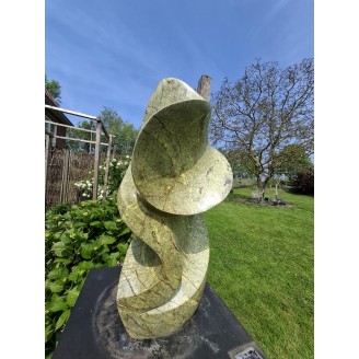Blooming van Leopard Stone