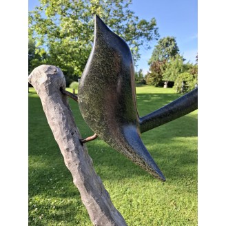 Prachtige vogel van Stanford Derere in boomtak