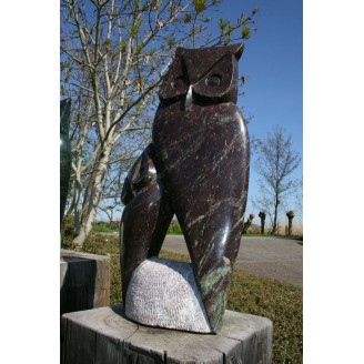Owl, Mother and child...