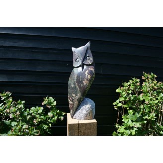 owl
