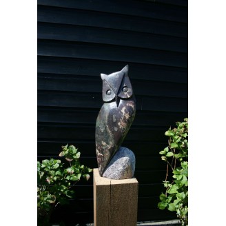 owl