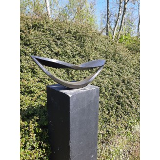 Whale mouth