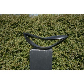 Whale mouth