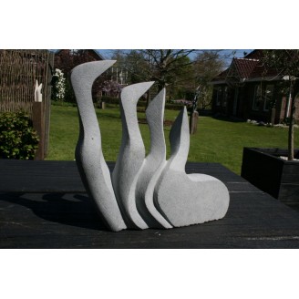 bird family